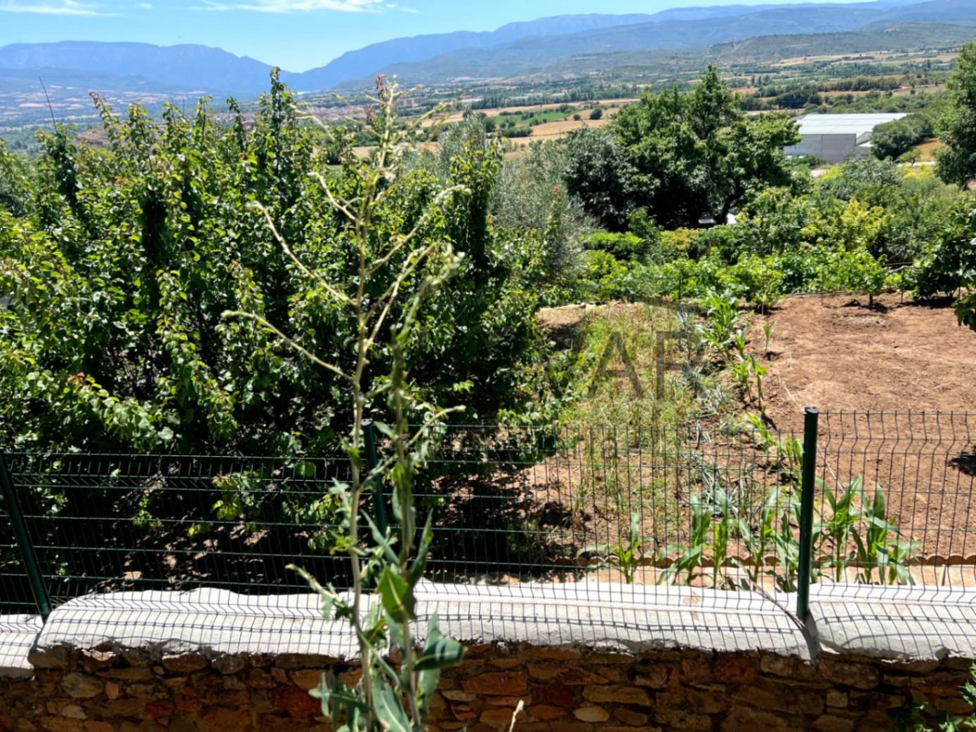 GRAN HUERTO URBANO EN TALARN