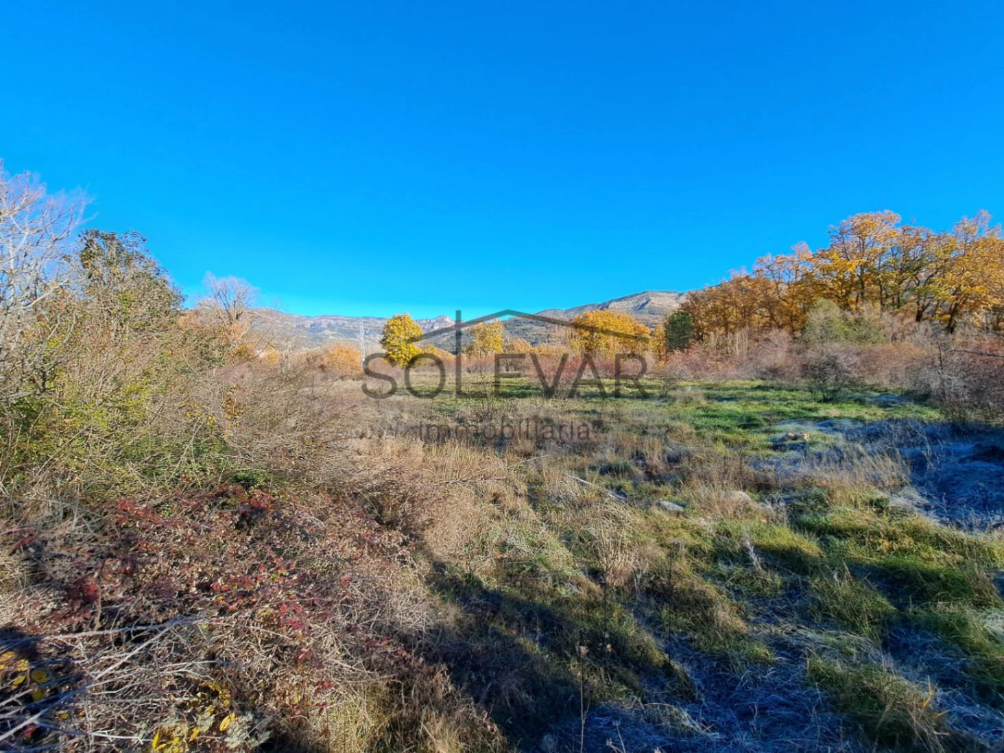 FINCA DELANTE DEL PANTANO DE SANT ANTONI