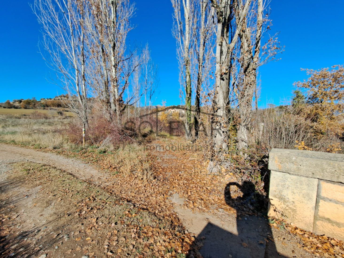 FINCA DELANTE DEL PANTANO DE SANT ANTONI