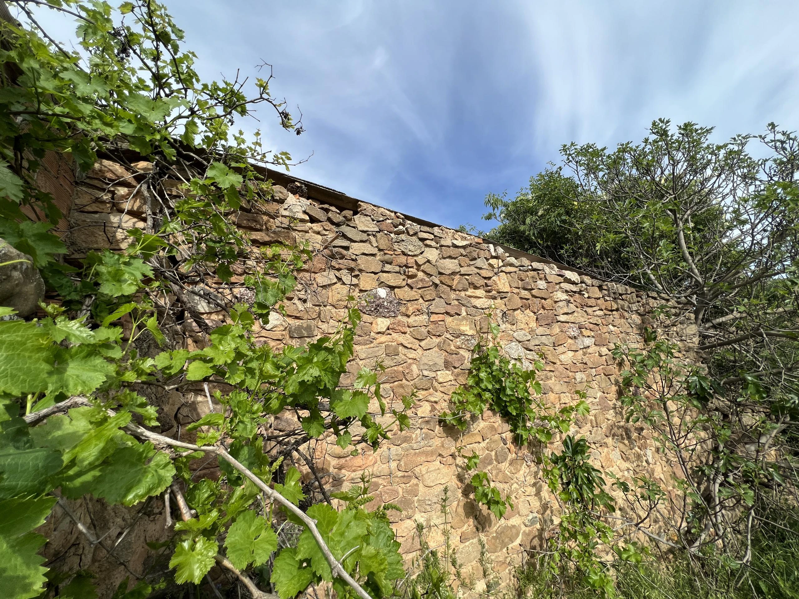 HUERTO URBANO EN VILAMITJANA