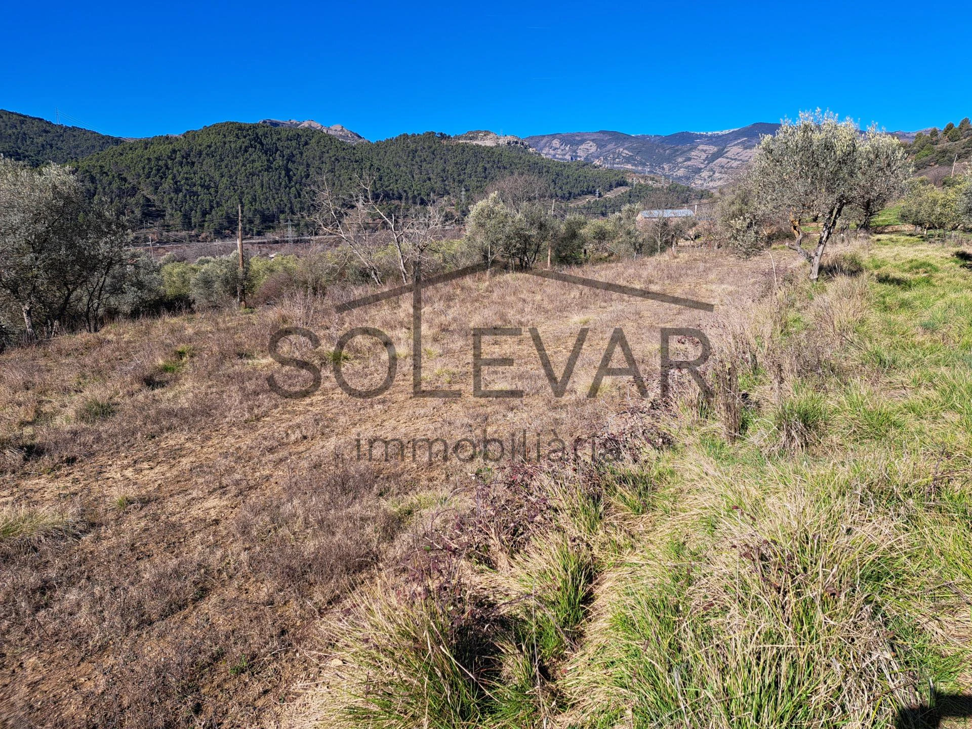 FINCA RÚSTICA EN LA POBLA DE SEGUR