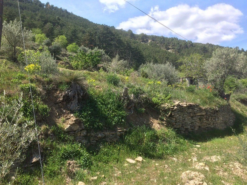 FINCA RÚSTICA A LA POBLA DE SEGUR