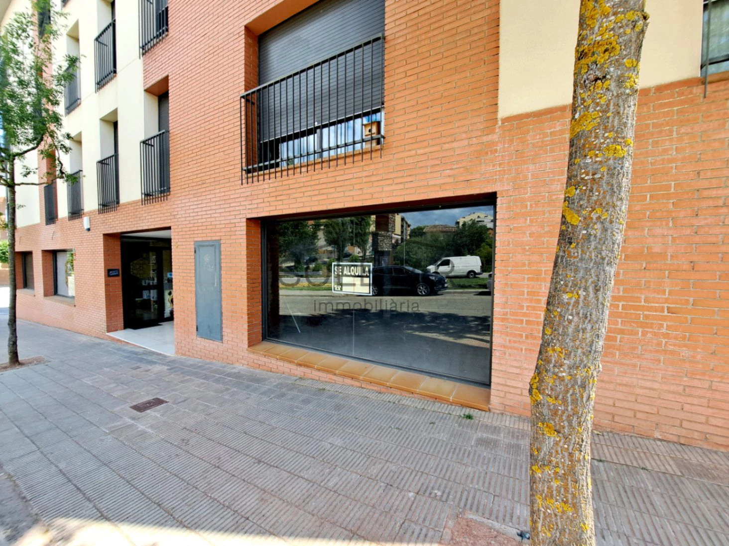 GRAN LOCAL COMERCIAL EN TREMP