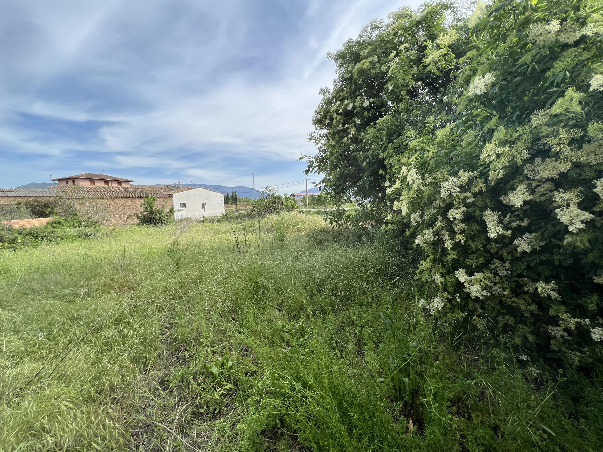 HUERTO URBANO EN VILAMITJANA