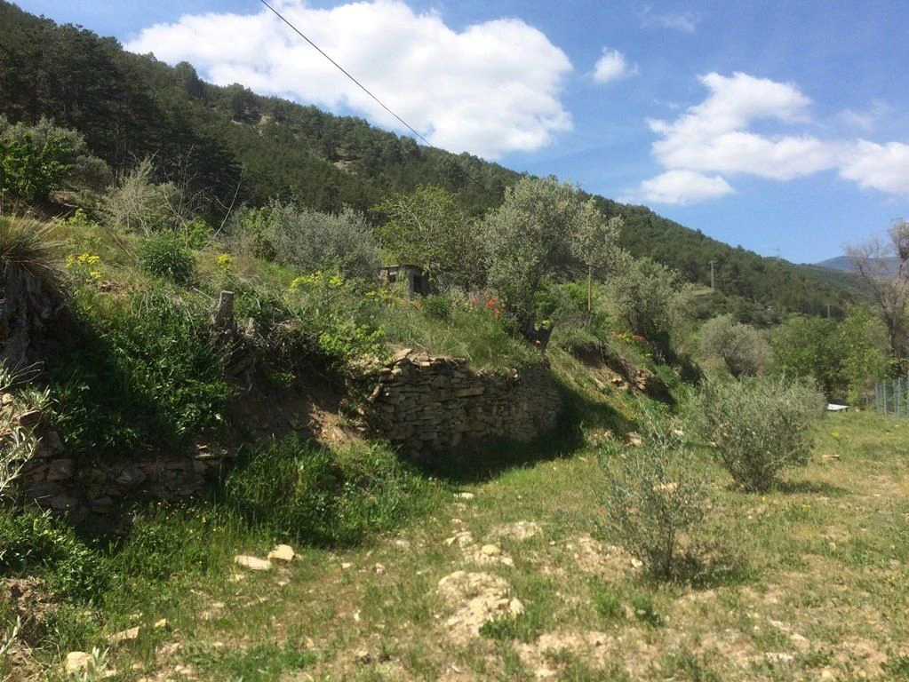 FINCA RÚSTICA A LA POBLA DE SEGUR