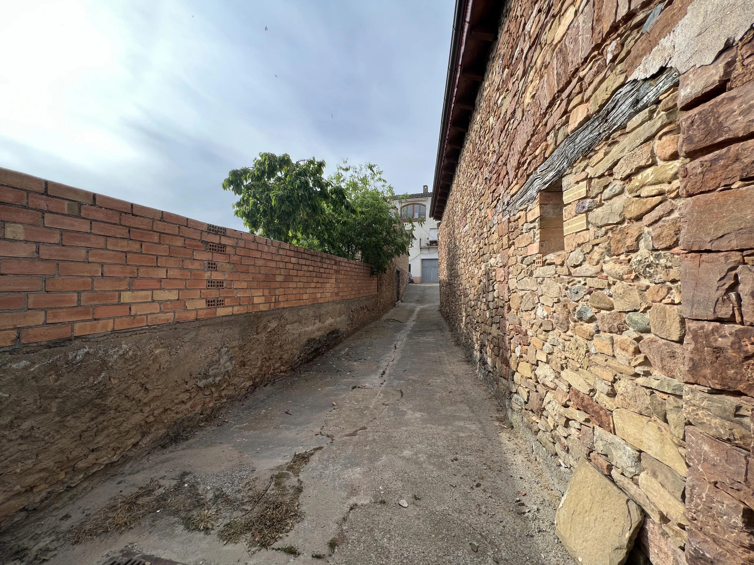 HUERTO URBANO EN VILAMITJANA