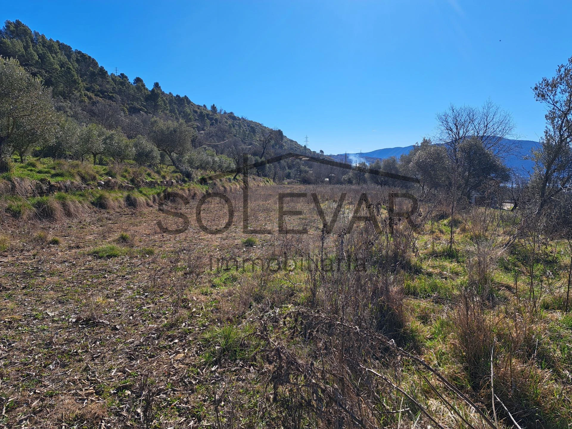 FINCA RÚSTICA EN LA POBLA DE SEGUR