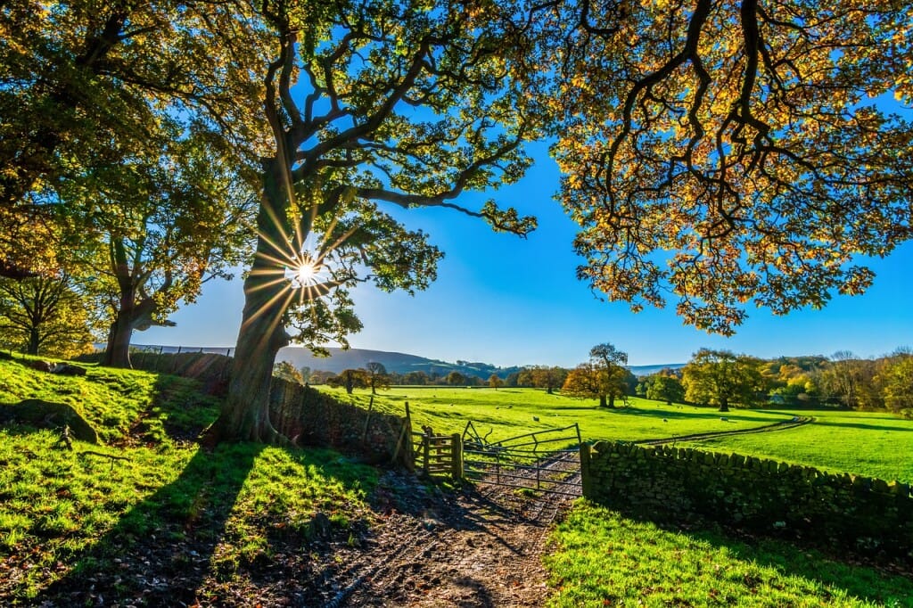 How much does it cost to deed a rustic land in Spain?