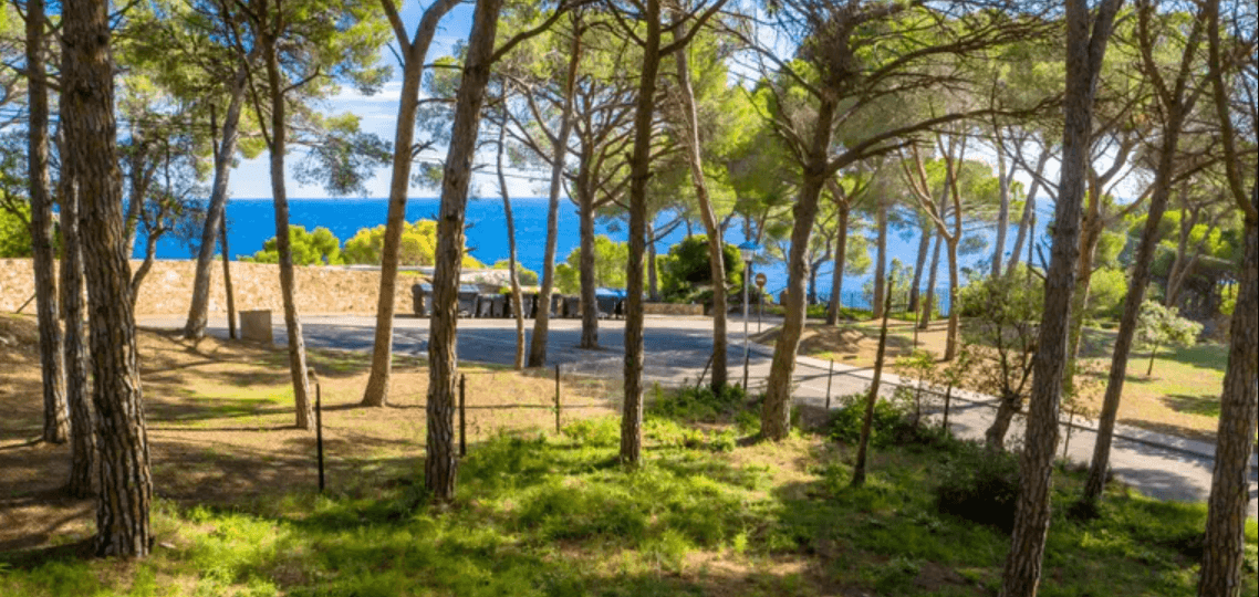 Land near the sea in Spain Why is it a good investment?
