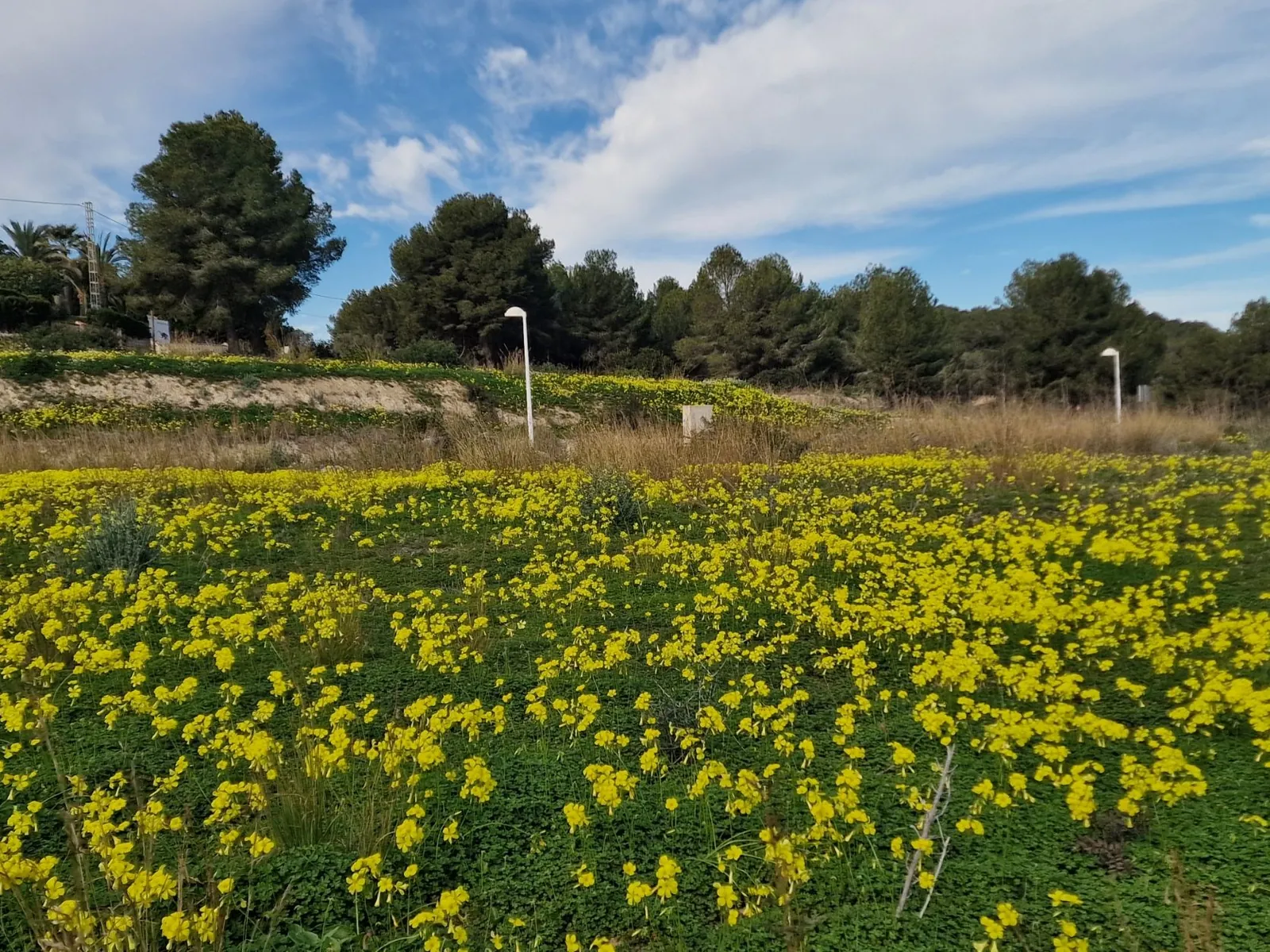 Builidng plot with panoramic and sea views in Moraira