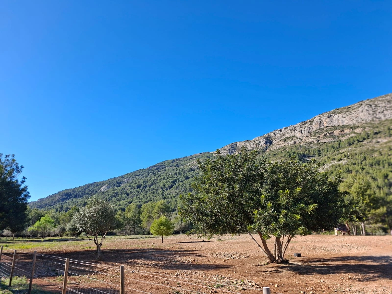 BH1996B - Maison de campagne à vendre à Benichembla avec vues panoramiques et grand terrain