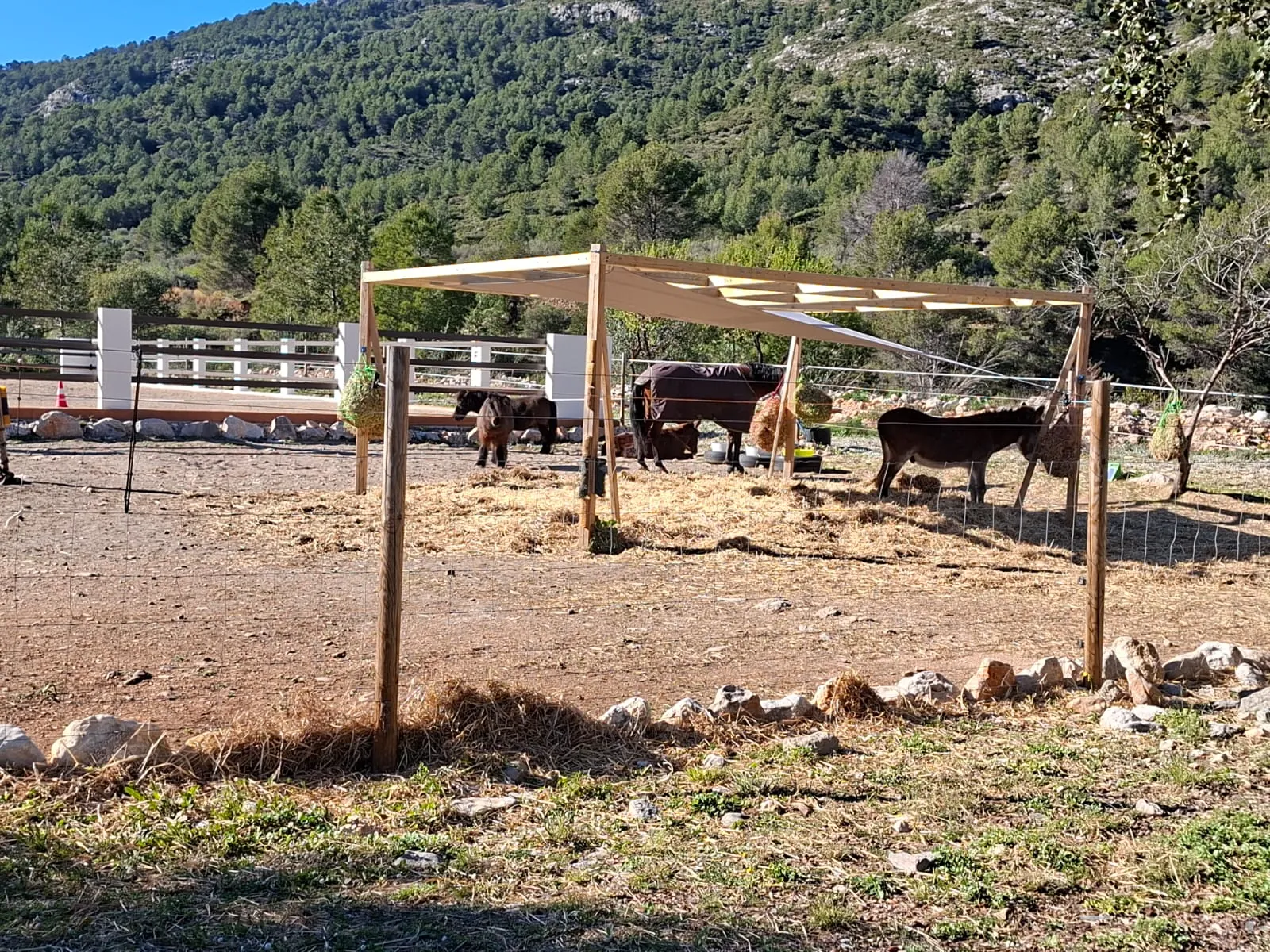 BH1996B - Maison de campagne à vendre à Benichembla avec vues panoramiques et grand terrain