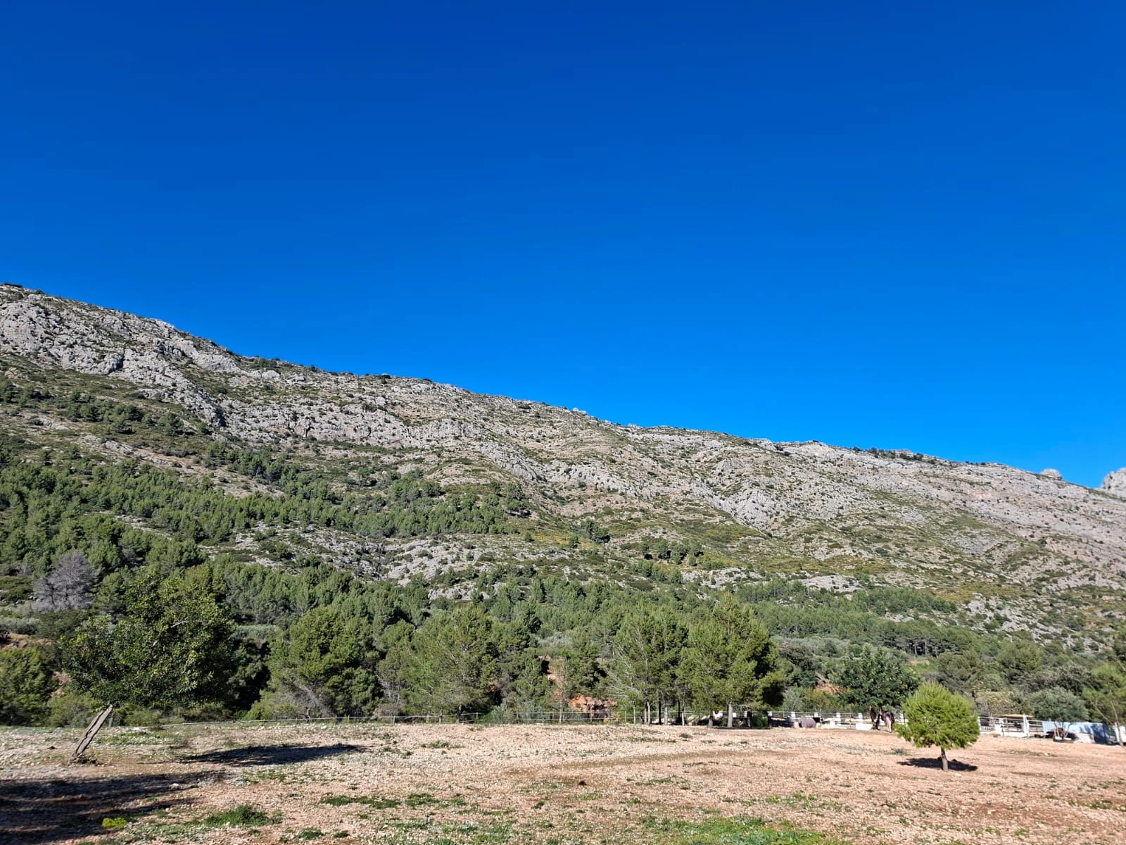 BH1996B - Maison de campagne à vendre à Benichembla avec vues panoramiques et grand terrain