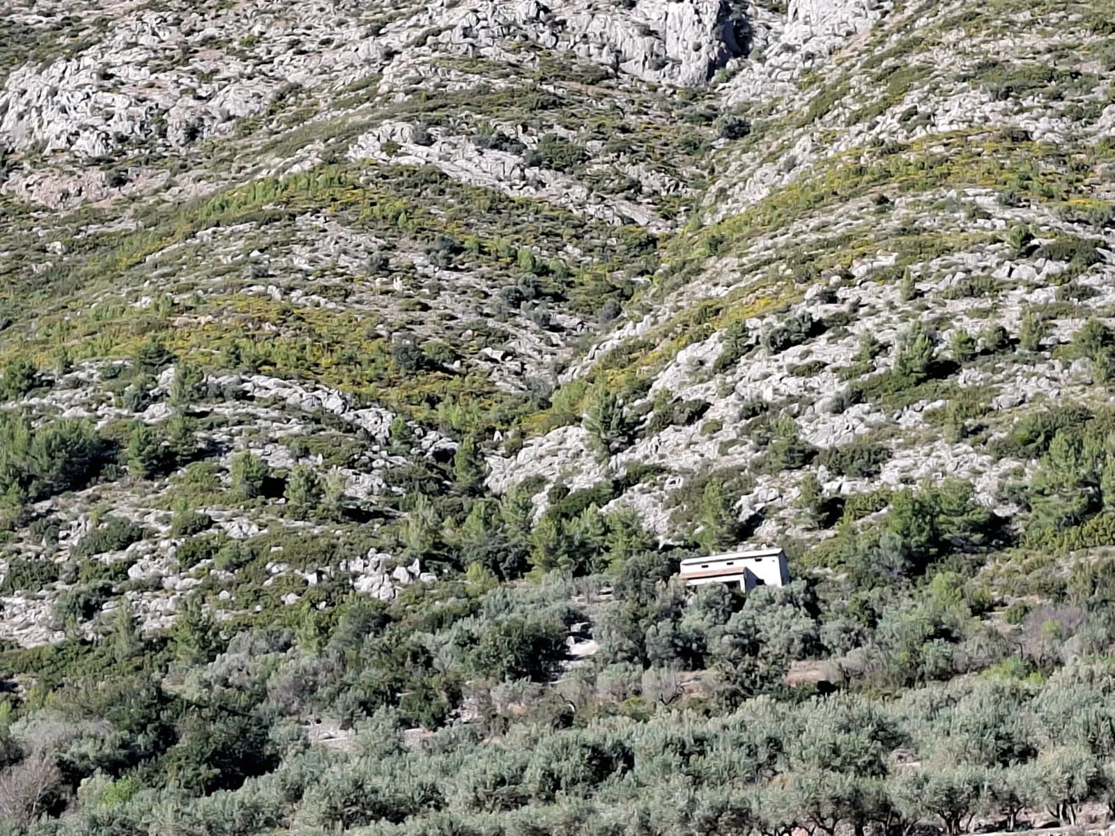 BH1996B - Maison de campagne à vendre à Benichembla avec vues panoramiques et grand terrain