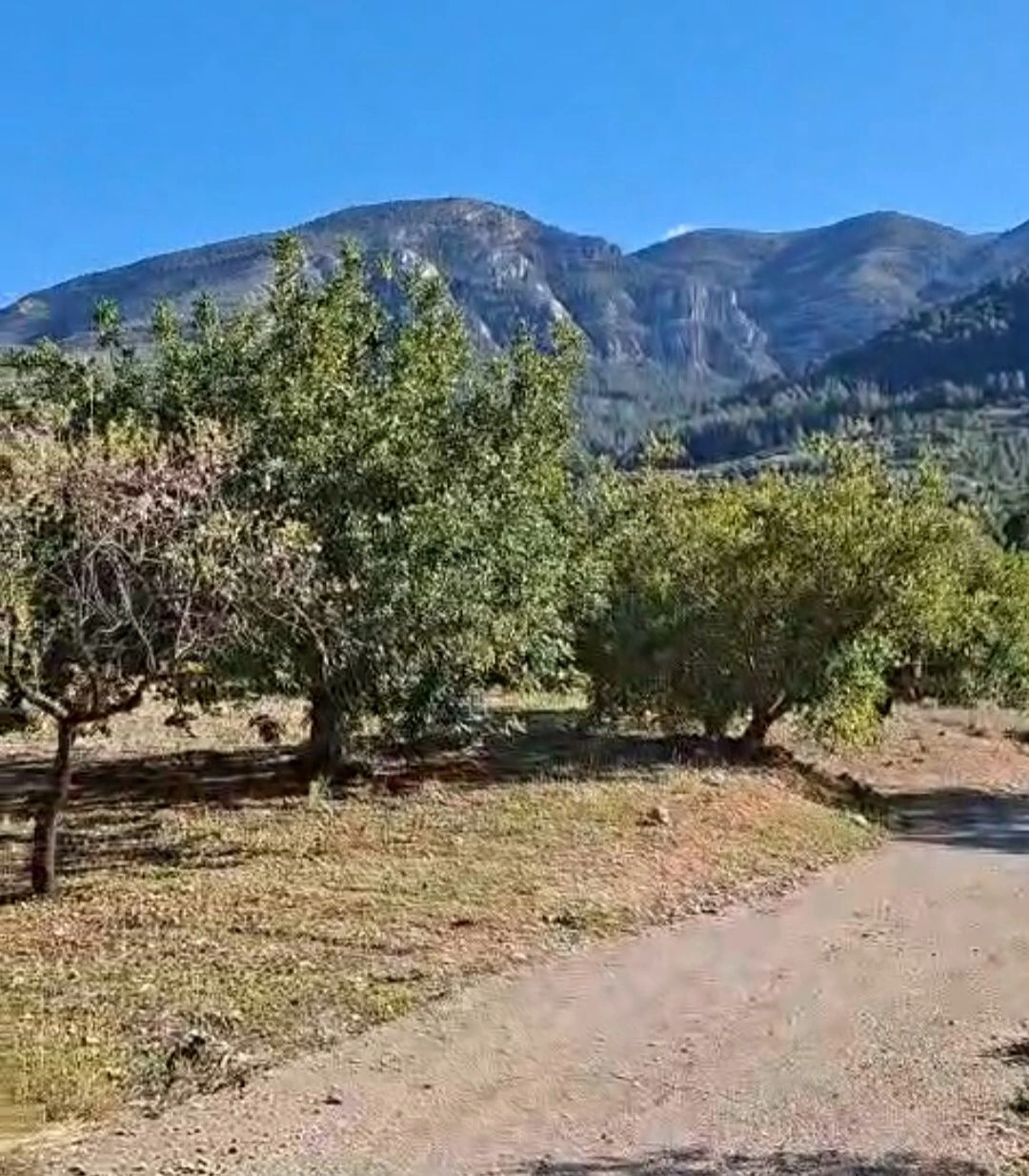 BH1996B - Maison de campagne à vendre à Benichembla avec vues panoramiques et grand terrain