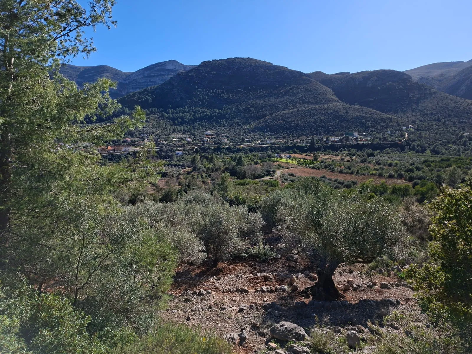 BH1996B - Maison de campagne à vendre à Benichembla avec vues panoramiques et grand terrain