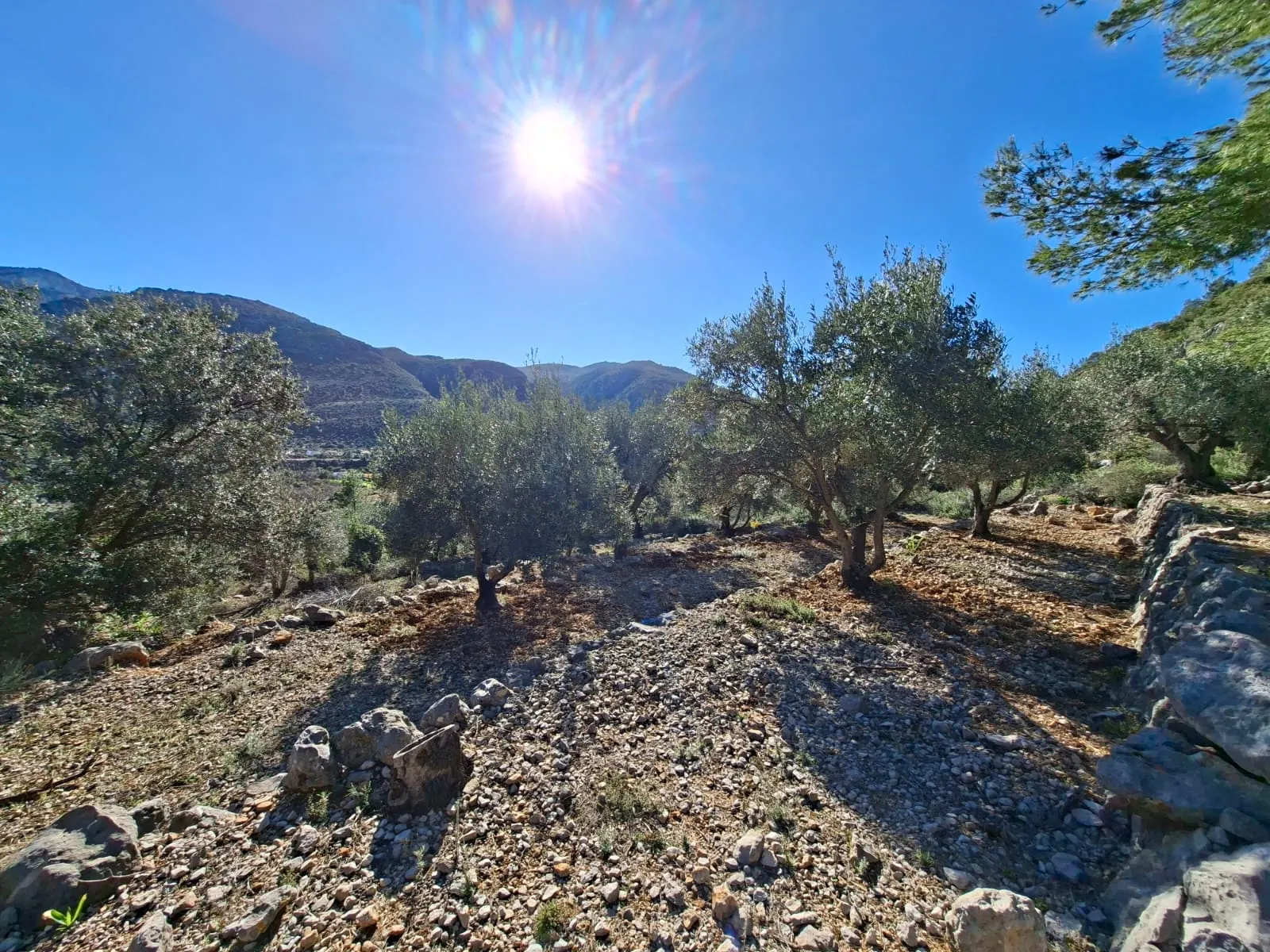 BH1996B - Maison de campagne à vendre à Benichembla avec vues panoramiques et grand terrain