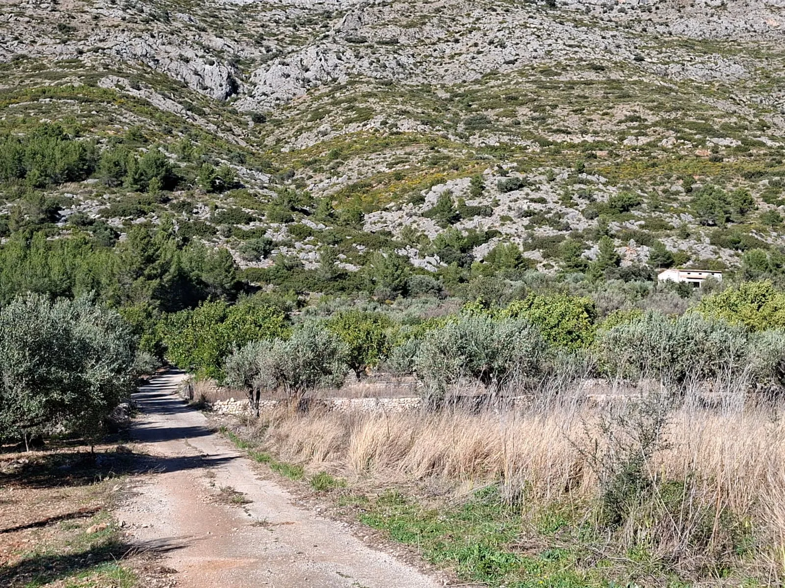 BH1996B - Maison de campagne à vendre à Benichembla avec vues panoramiques et grand terrain