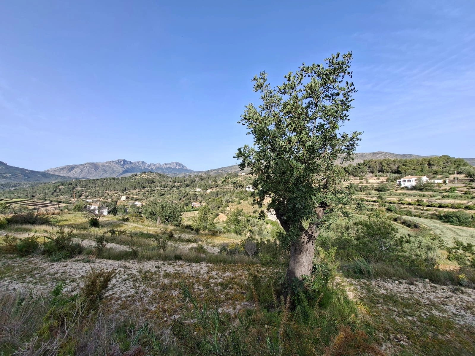 BH2001B - Terrain rustique avec projet et permis dans la campagne de Benissa – vues panoramiques