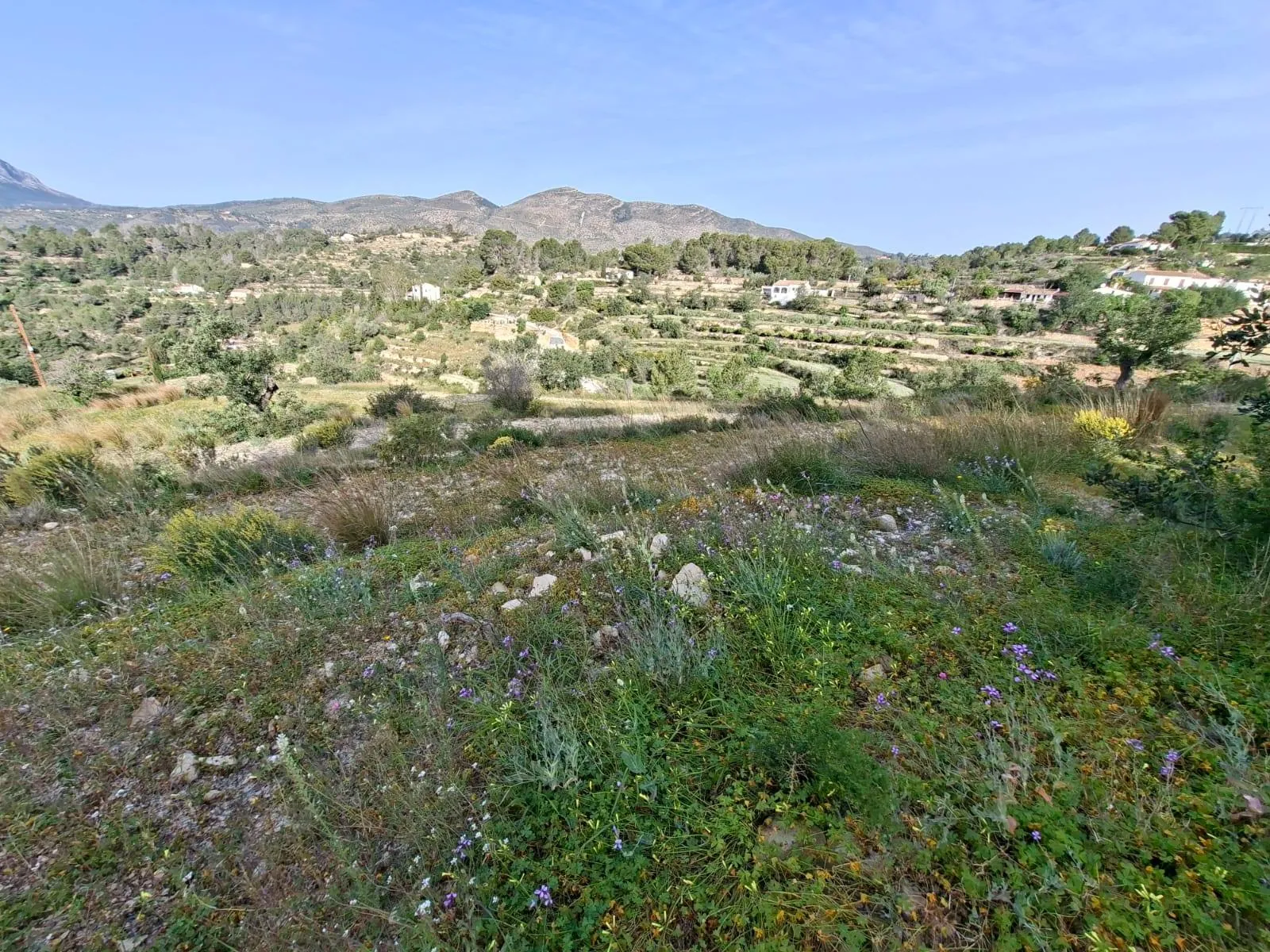 BH2001B - Terrain rustique avec projet et permis dans la campagne de Benissa – vues panoramiques
