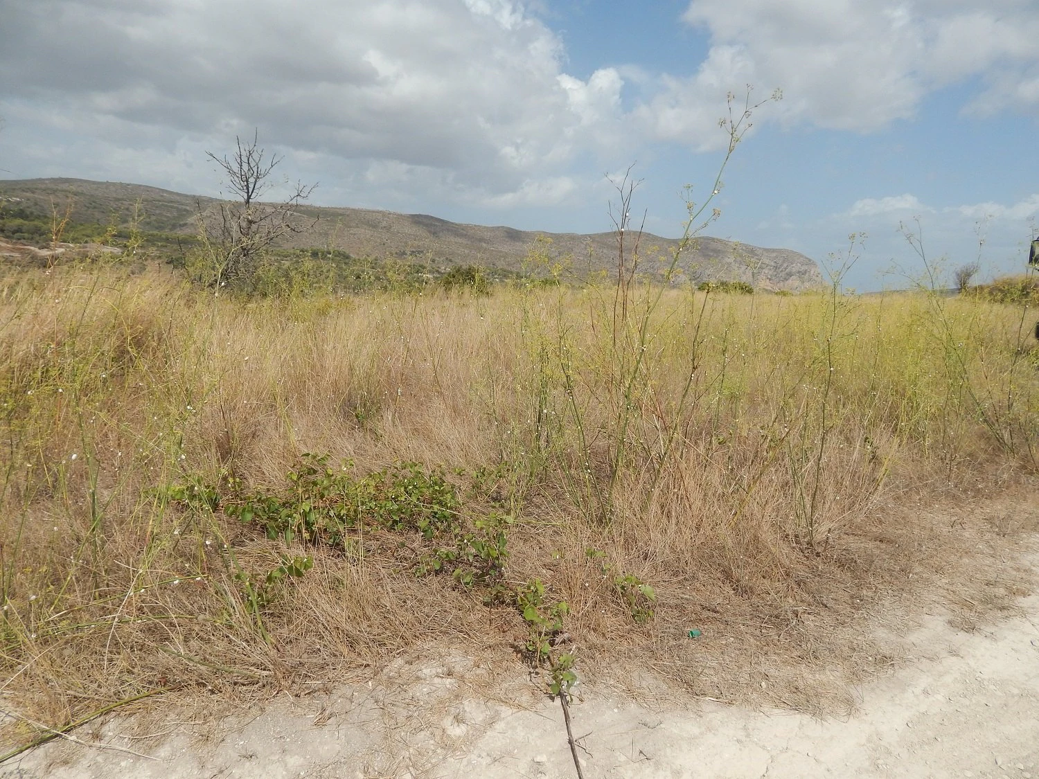 Plot for sale in Benissa, Campo, with good connections