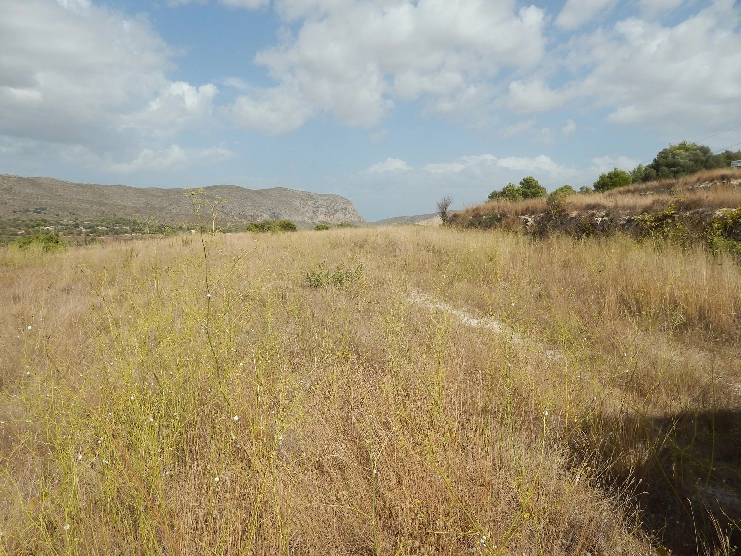Plot for sale in Benissa, Campo, with good connections
