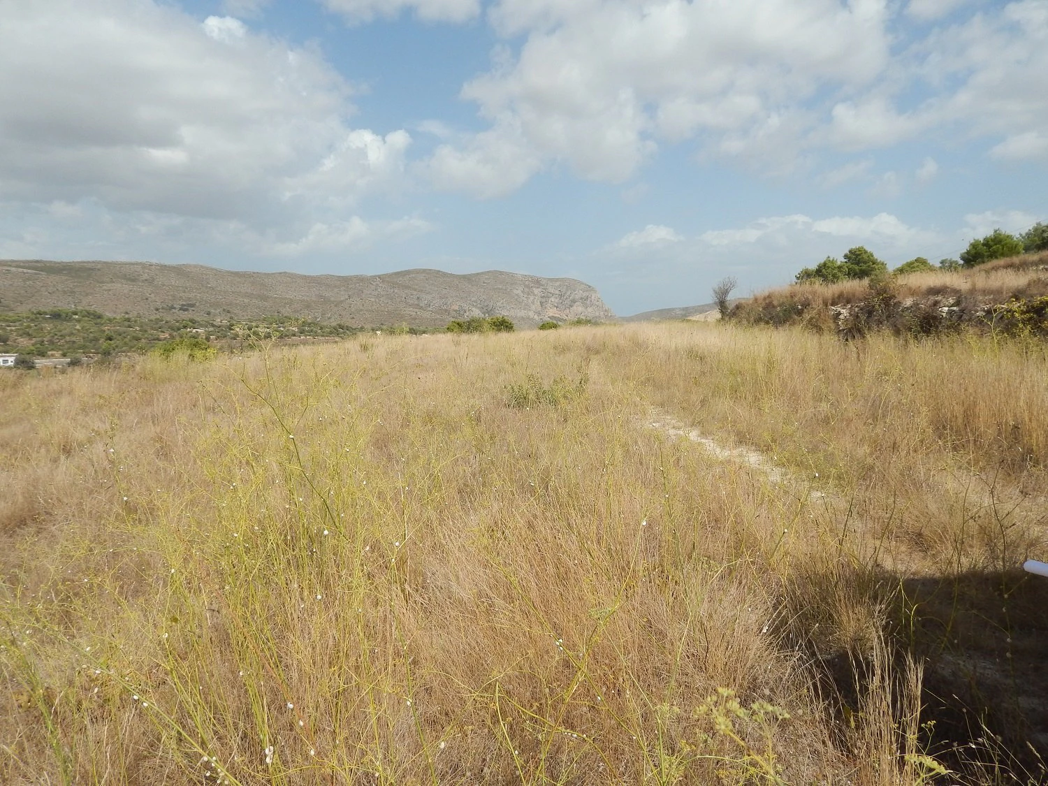 Plot for sale in Benissa, Campo, with good connections