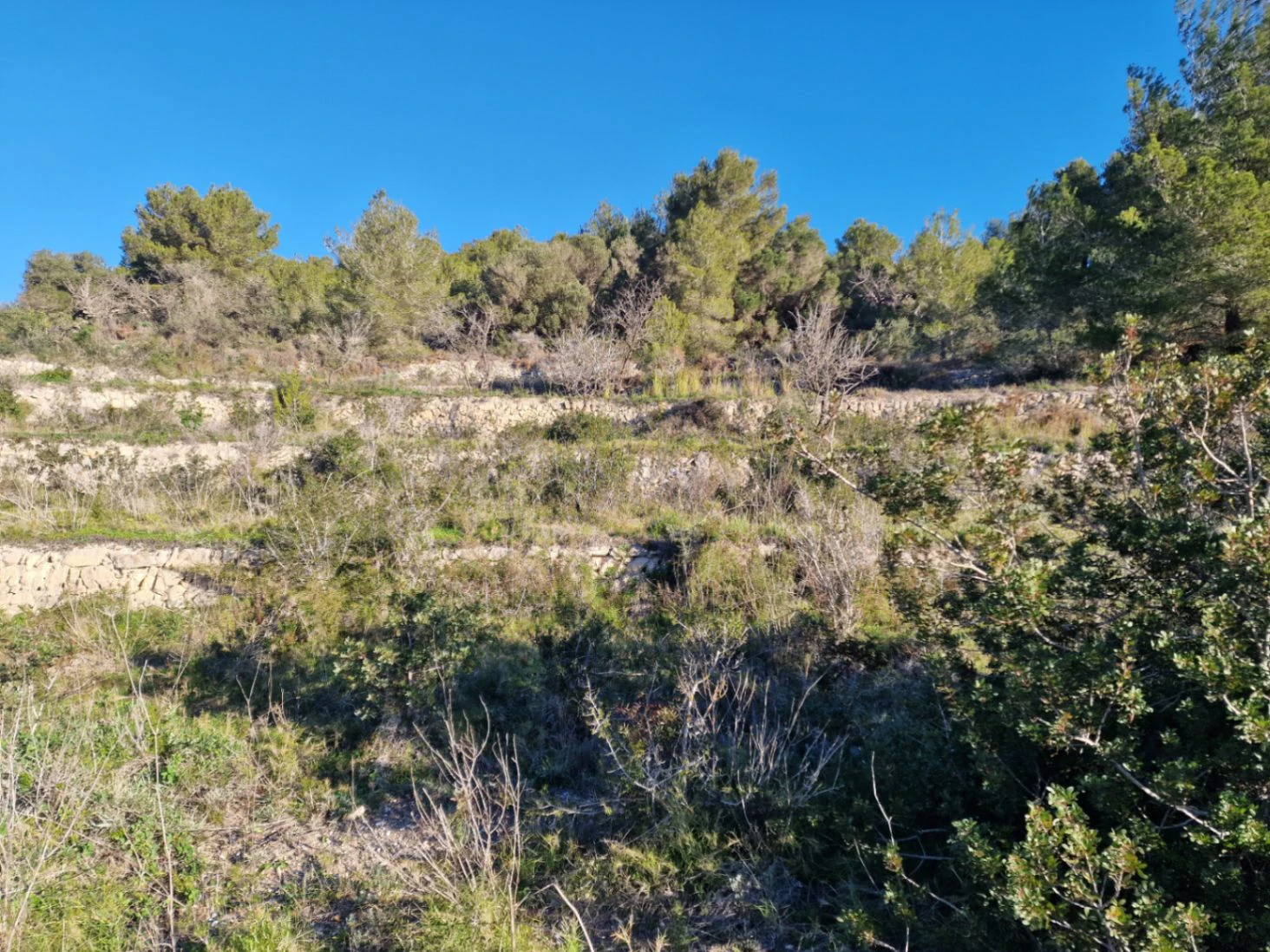 Sea view land to build a country house in Moraira