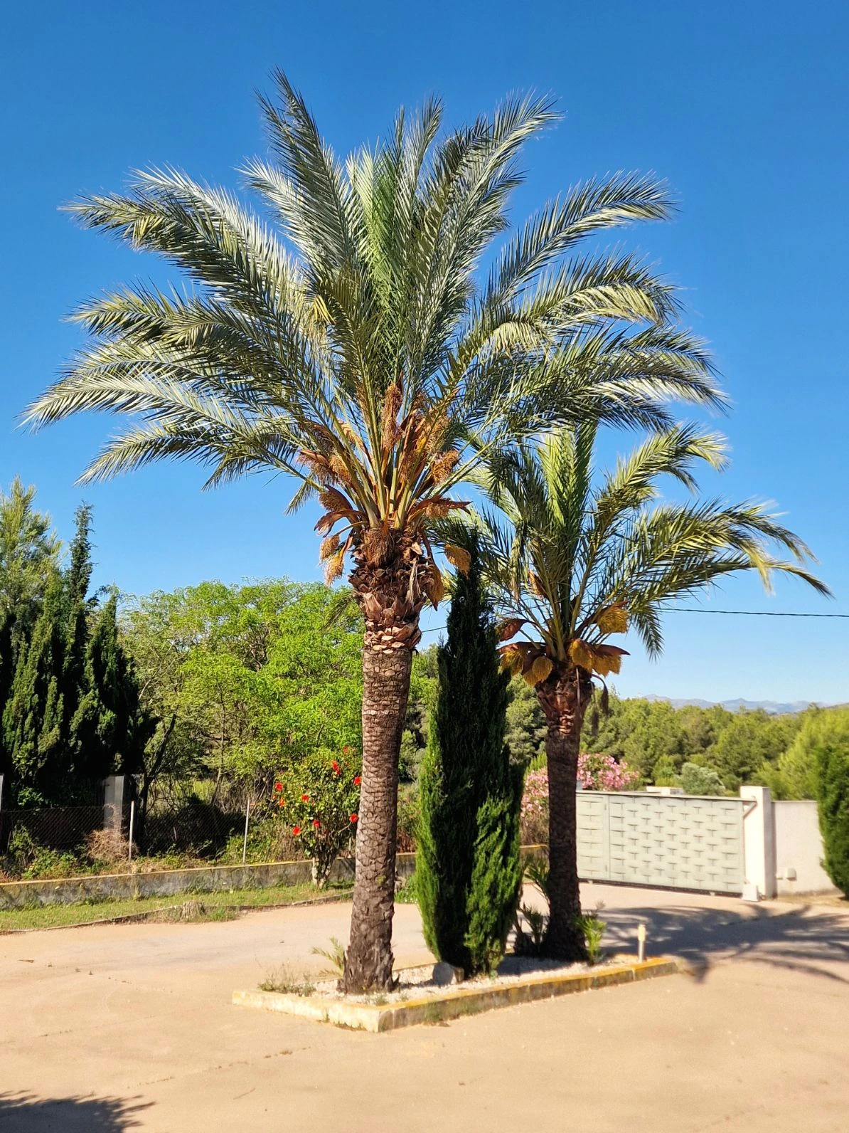 BH2009A - Finca villa for sale in Javea with privacy and tranquility