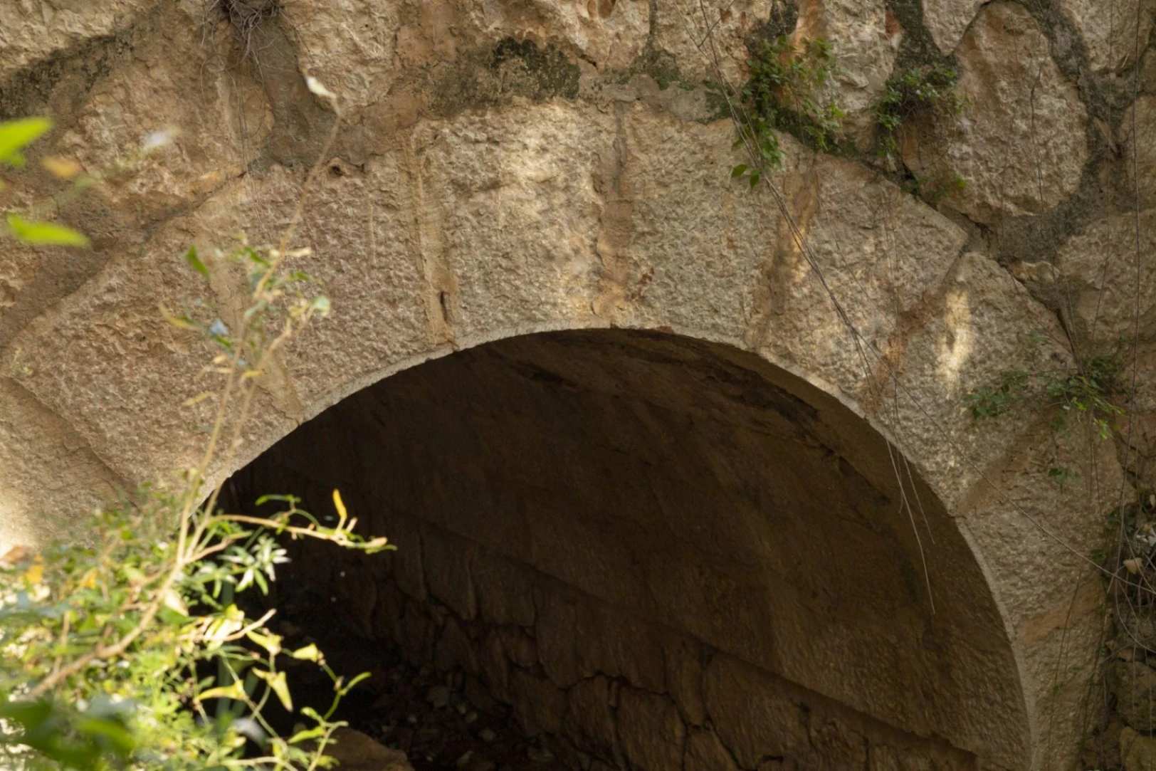 BH1794A - Finca walking distance to Murla in Jalon Valley Costa Blanca