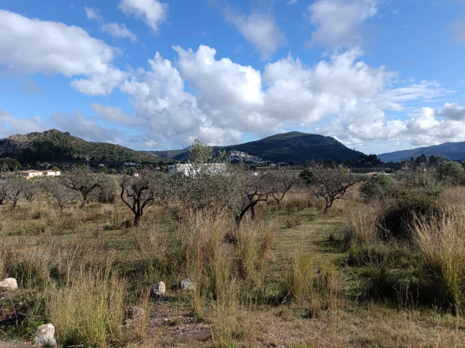 BH1794A - Finca walking distance to Murla in Jalon Valley Costa Blanca