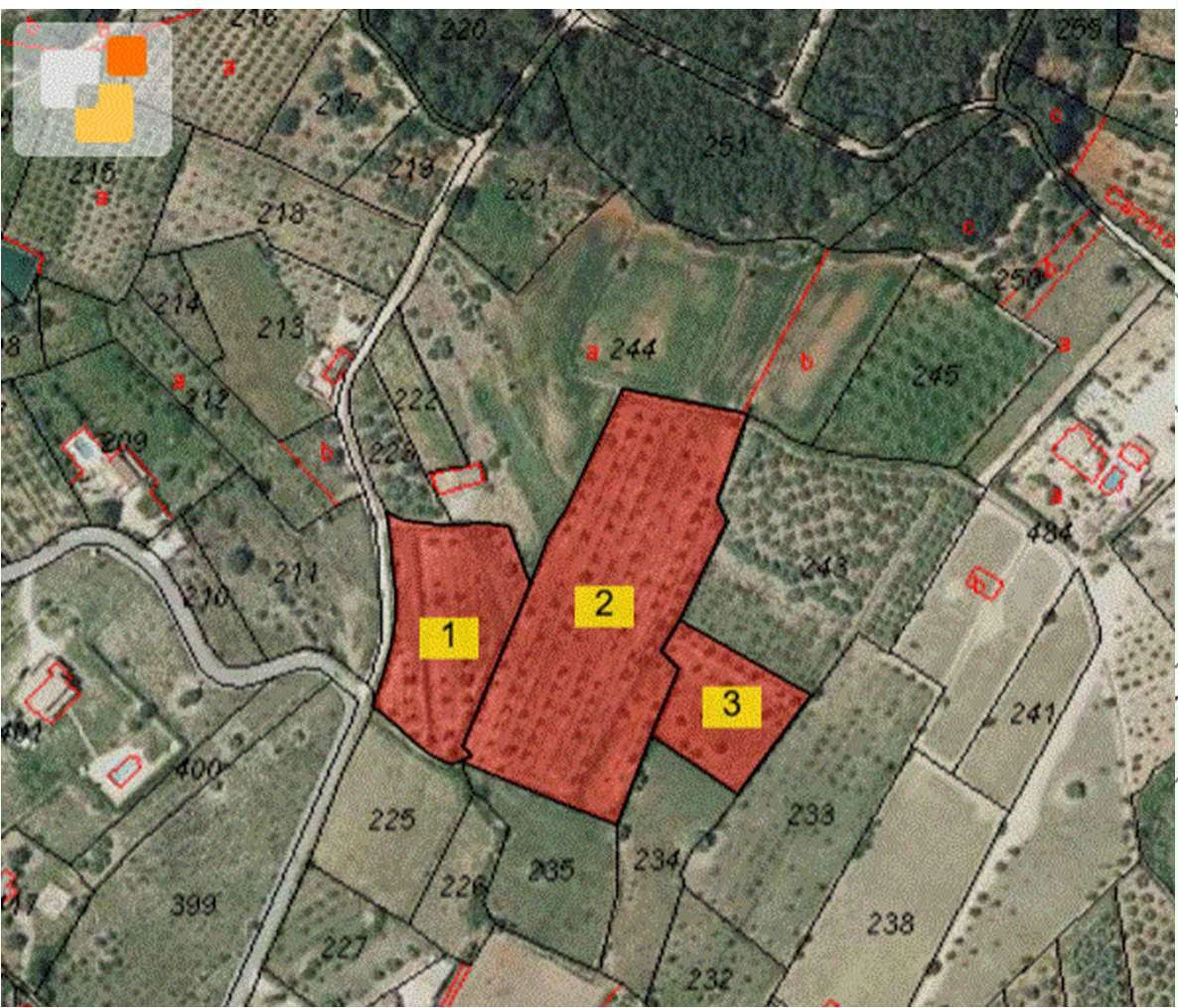 BH1794A - Finca walking distance to Murla in Jalon Valley Costa Blanca