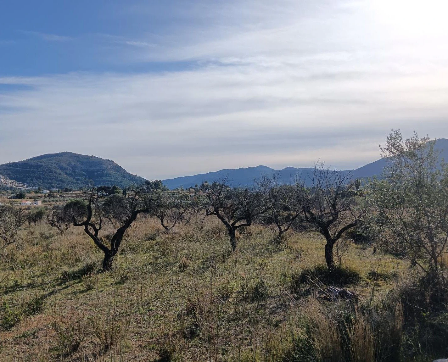 BH1794A - Finca walking distance to Murla in Jalon Valley Costa Blanca