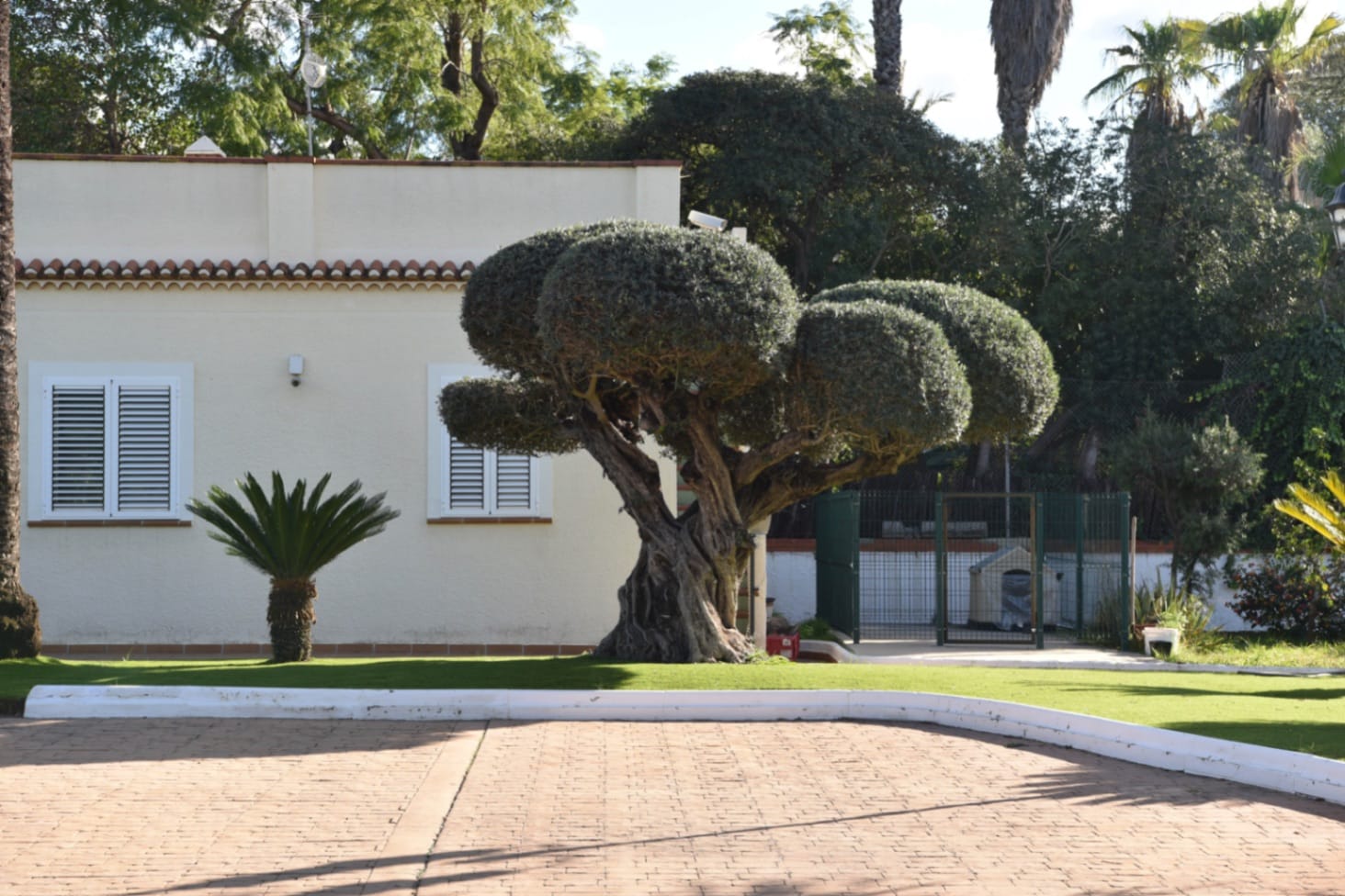 JOYA ARQUITECTÓNICA, PISCINA, TENIS Y CASA DE INVITADOS EN ALZIRA