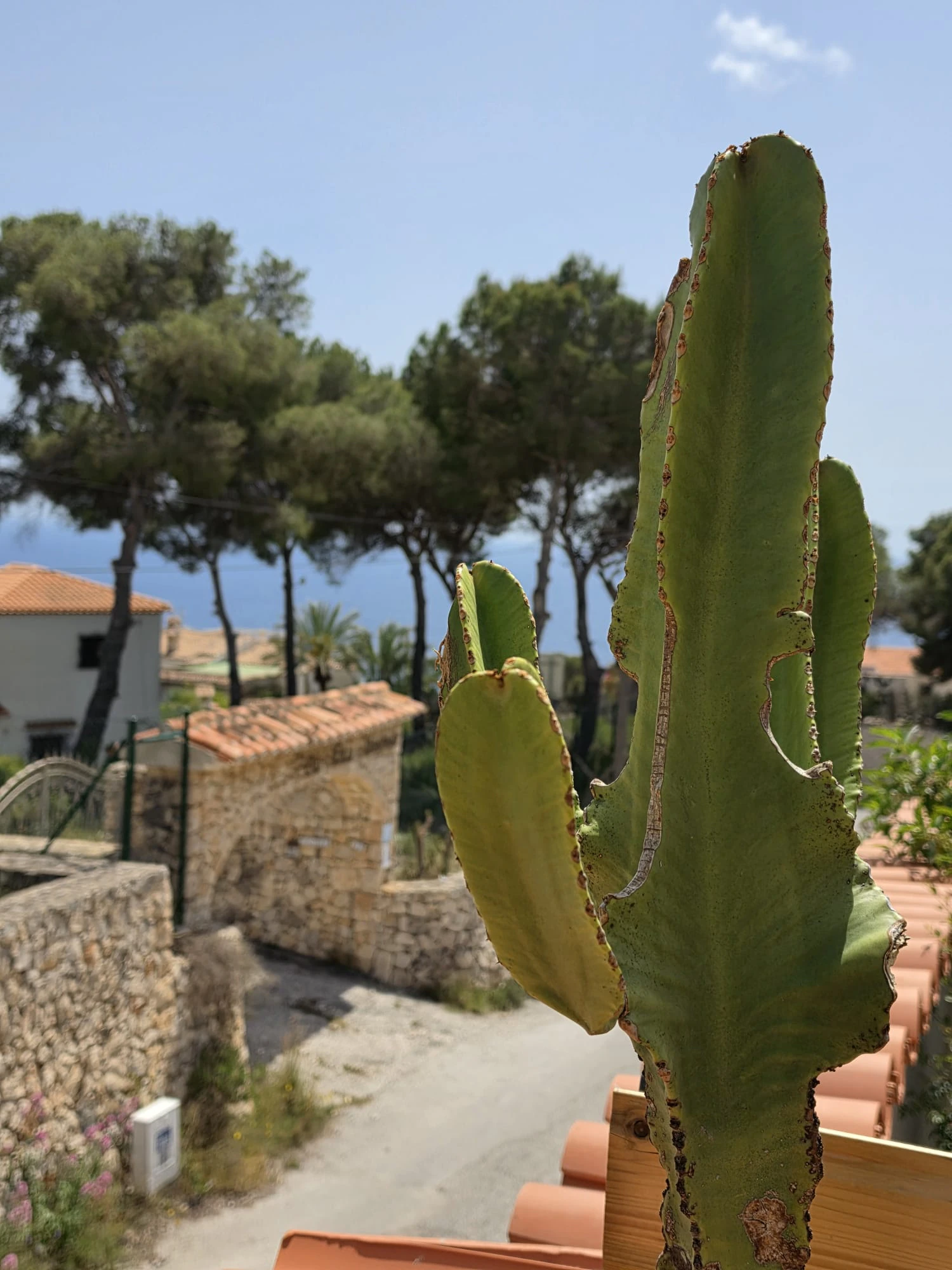 Encantadora villa en la prestigiosa zona de Balcón al Mar, Jávea