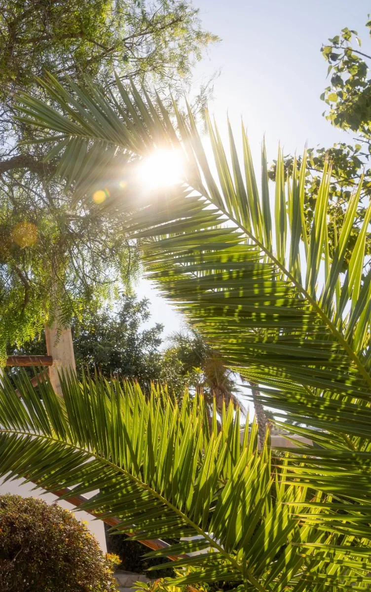 Villa en venta en Jávea/xàbia