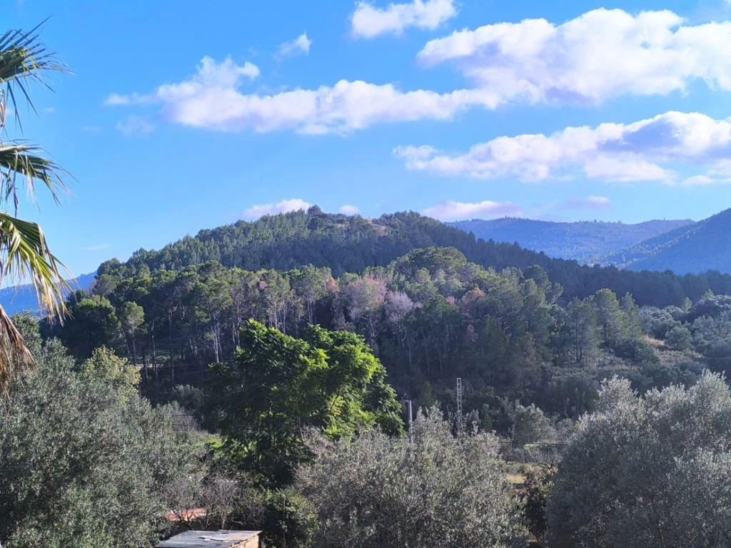 Chalet/Villa en venta en Parcent