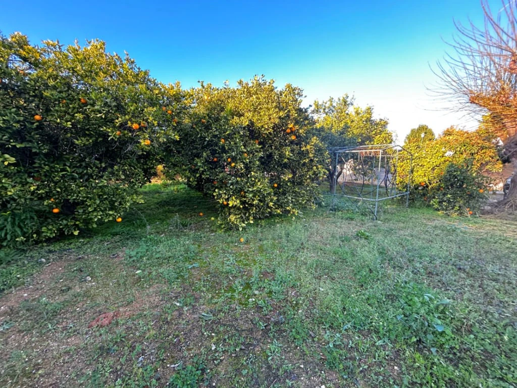 Chalet/Villa en venta en Pedreguer