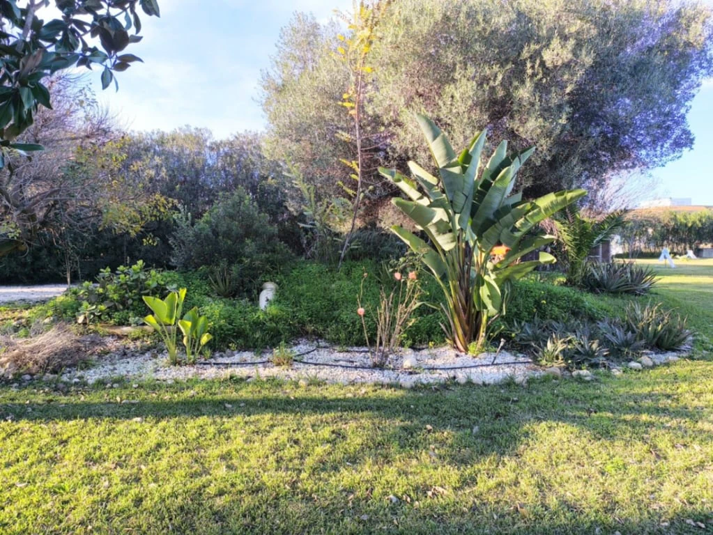 Chalet/Villa en venta en Ondara