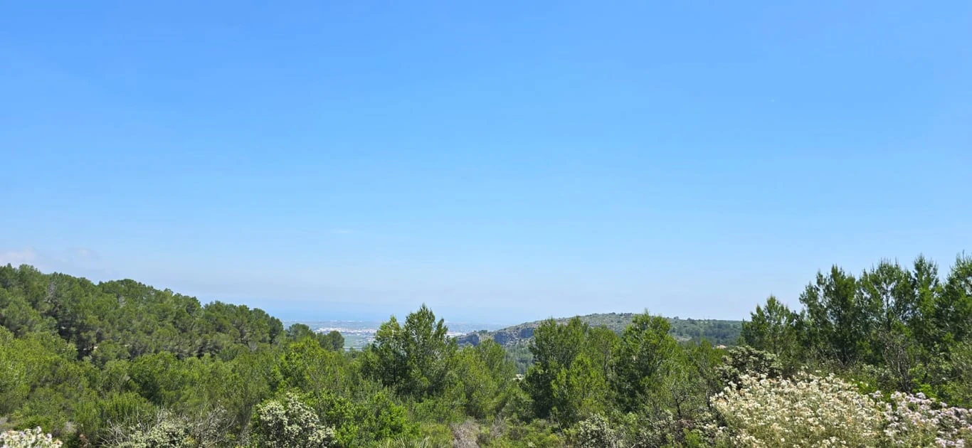 Plot/Land en venta en Benidoleig