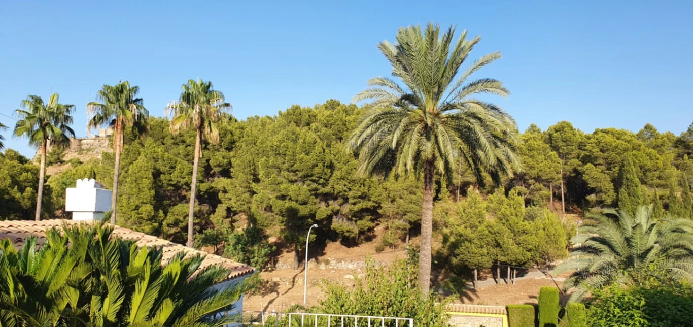 Chalet/Villa en venta en Oliva