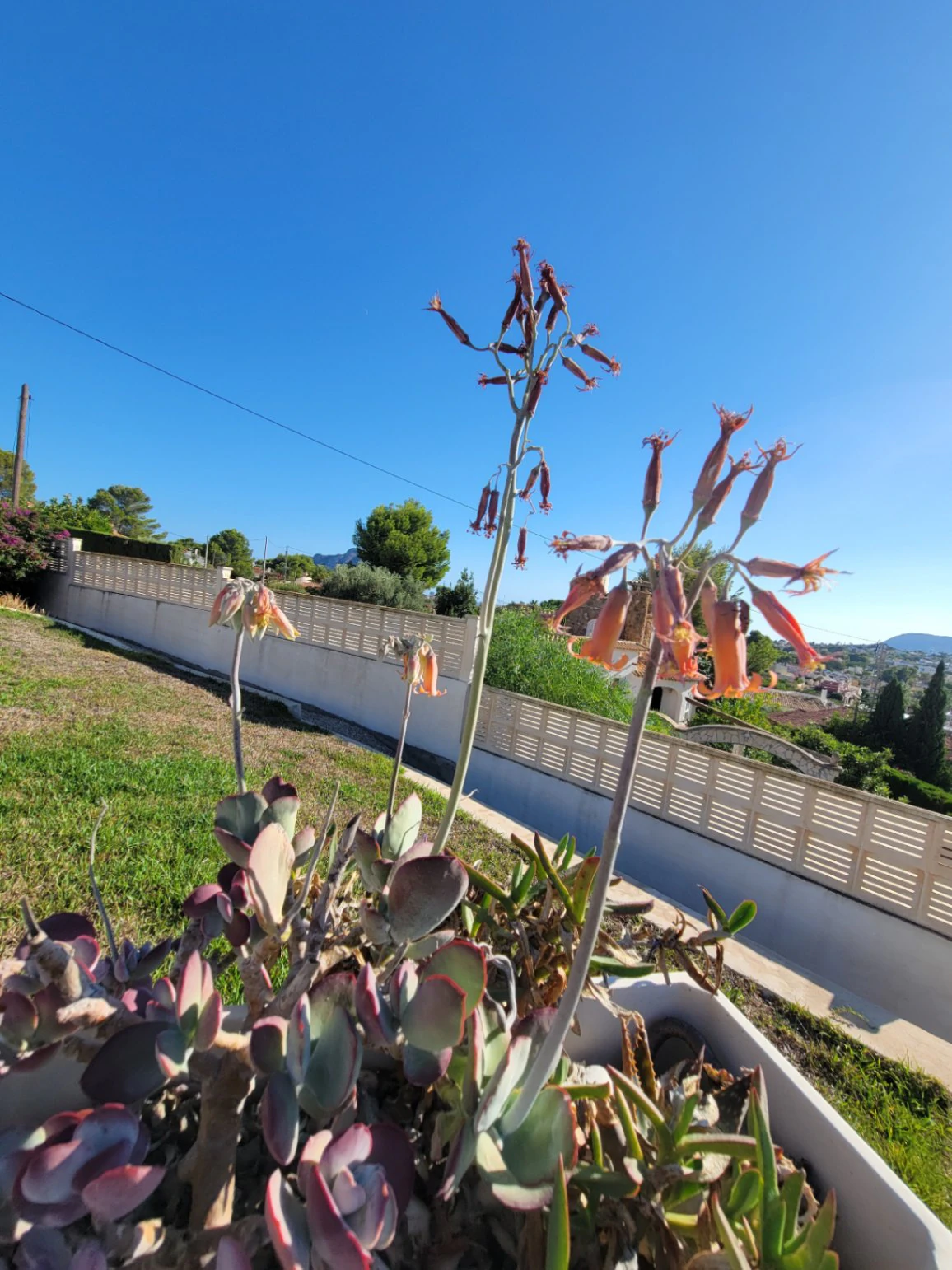 Chalet/Villa en venta en Calpe
