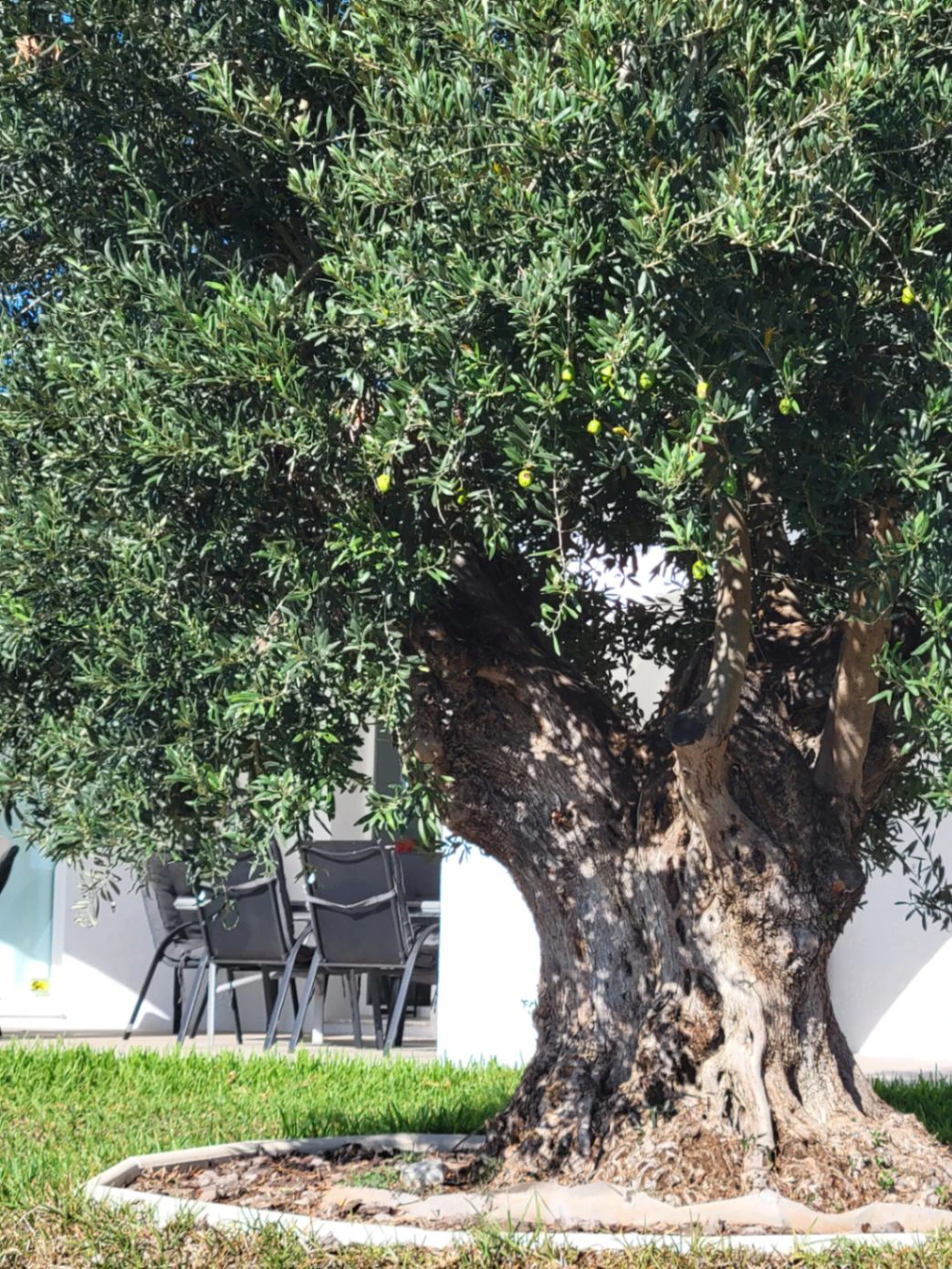 Chalet/Villa en venta en Calpe