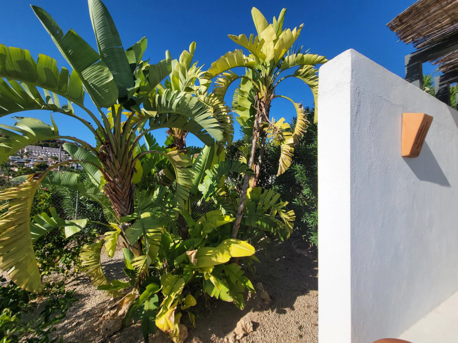 Chalet/Villa en venta en Calpe