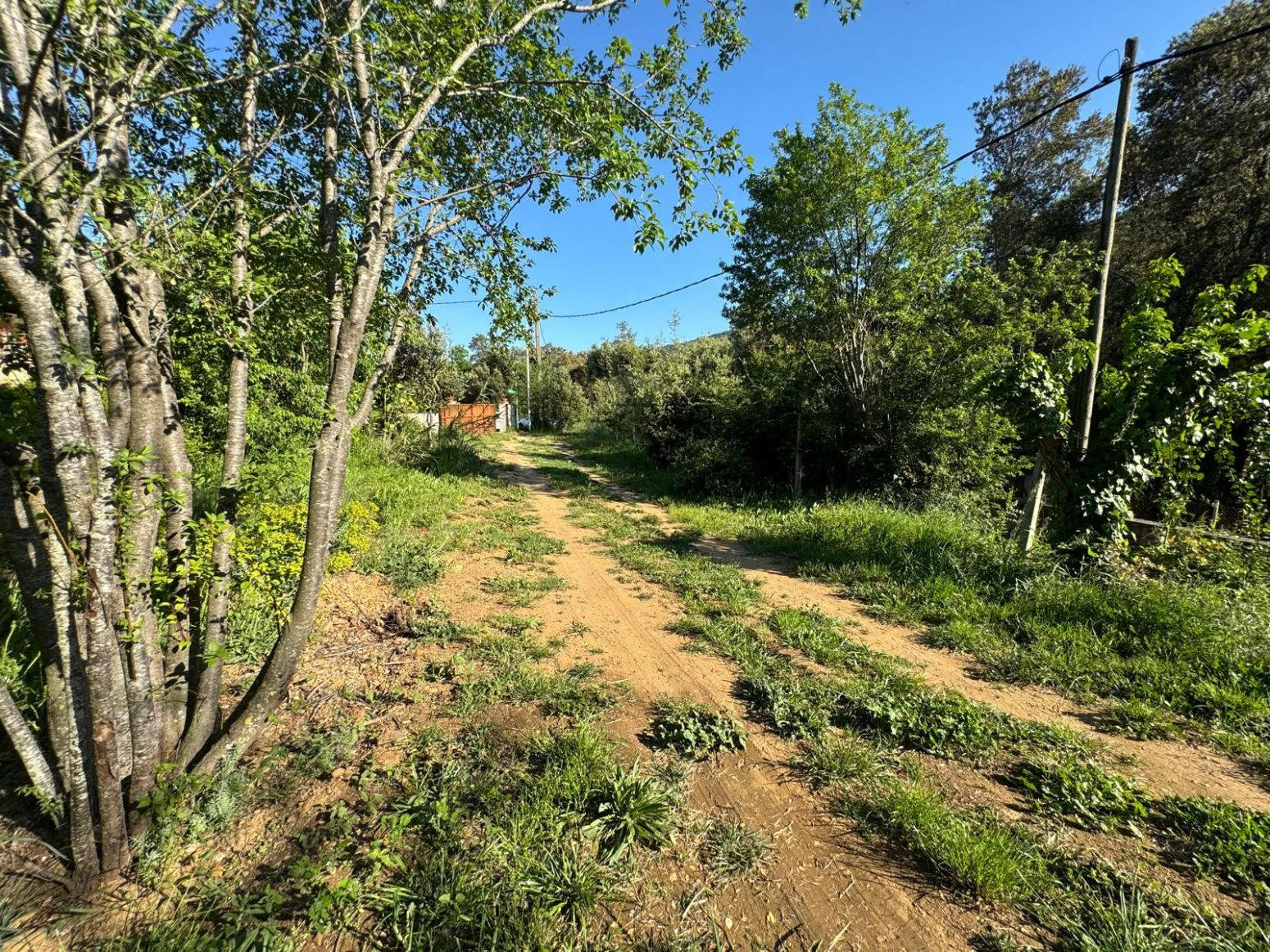 Finca en venta a Llora en Girona , en el pueblo de Sant Mart