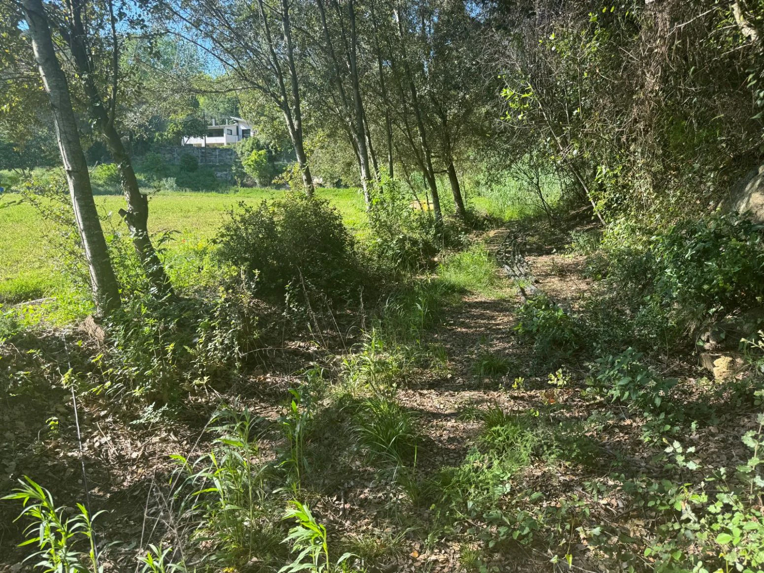 Finca en venta a Llora en Girona , en el pueblo de Sant Mart