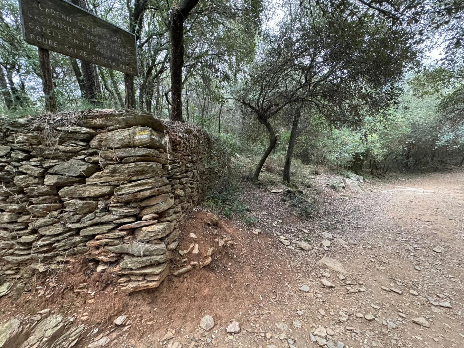 Masia en venta a Sant daniel Girona