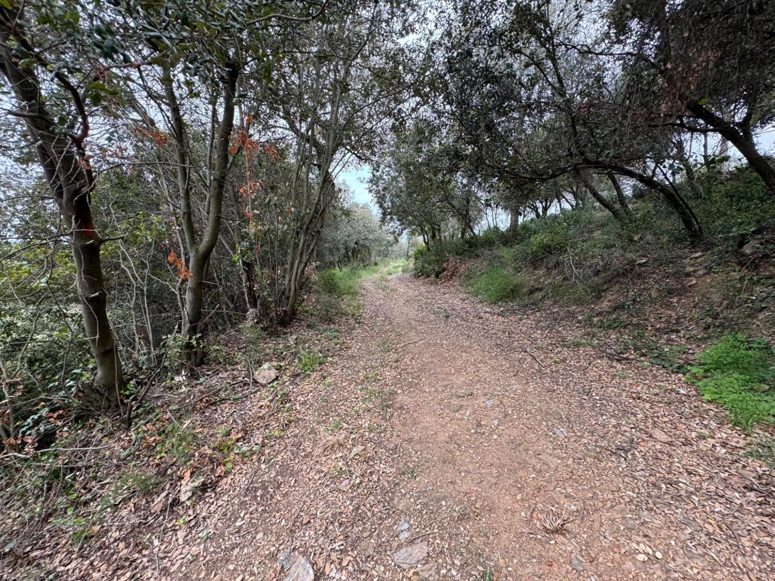 Masia en venta a Sant daniel Girona