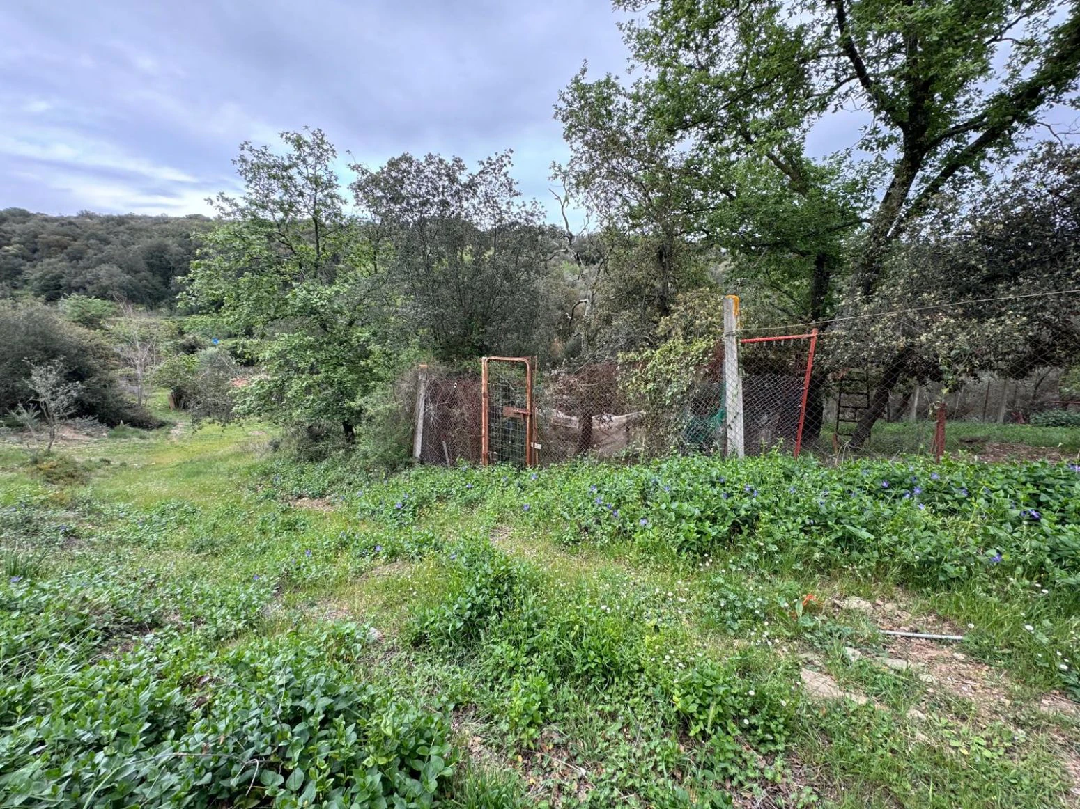 Masia en venta a Sant daniel Girona
