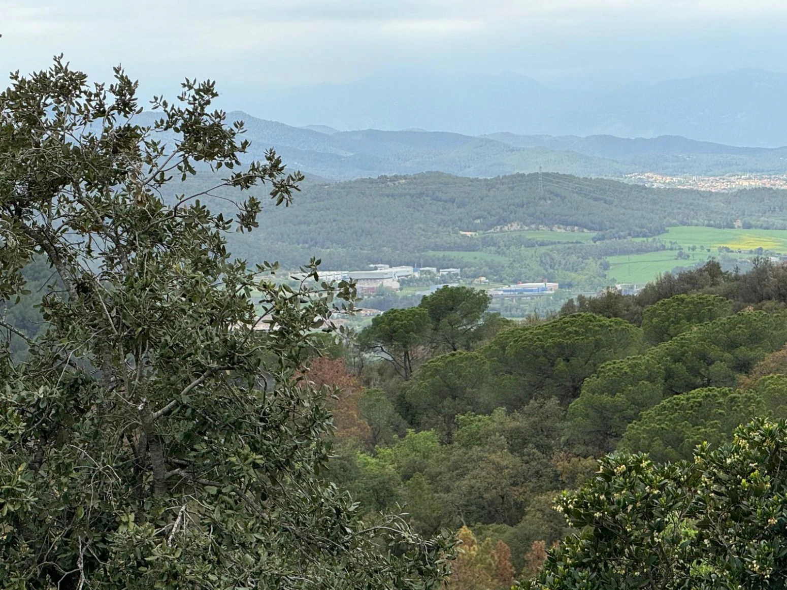 Masia en venta a Sant daniel Girona